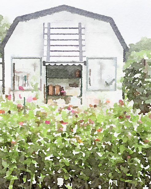 watercolor of my home garden